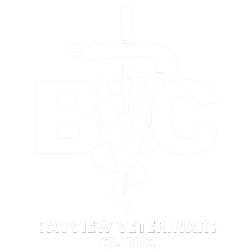 Bayview Vet Logo